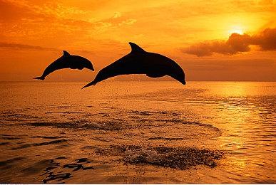 3DM速报：ChinaJoy消息不少人挺少，V社回应反垄断诉讼