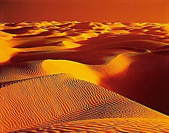 《小缇娜的奇幻之地》揭露 “混沌之屋” 游戏终局体验